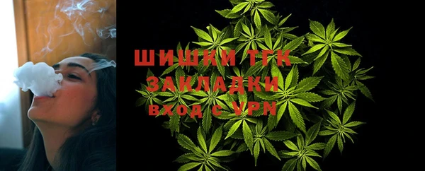 стафф Касимов