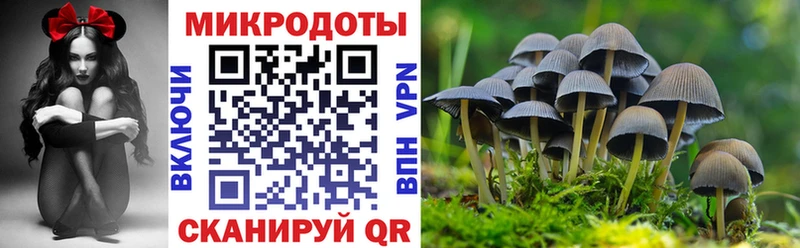 hydra зеркало  Коркино  Псилоцибиновые грибы Cubensis 